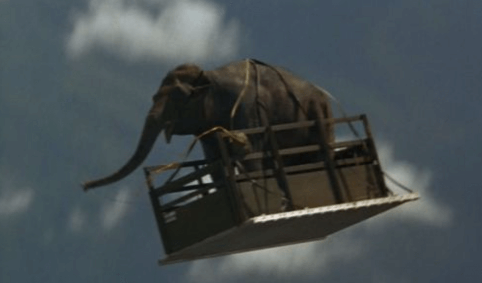 Operation Dumbo Drop movie elephant